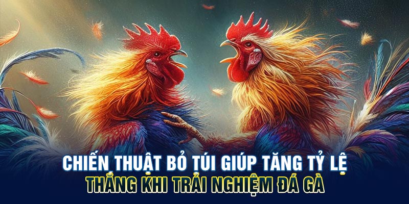 Chiến thuật bỏ túi giúp tăng tỷ lệ thắng khi trải nghiệm đá gà