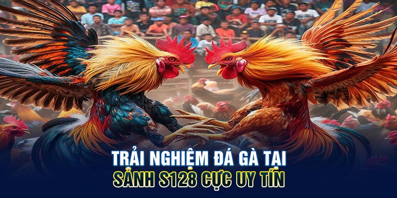 Trải nghiệm đá gà tại sảnh S128 cực uy tín